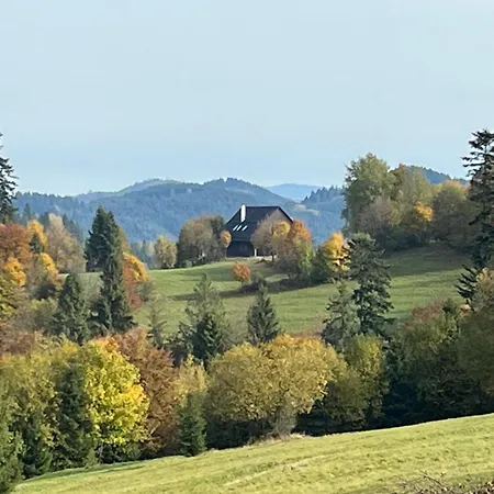 V Oblakoch